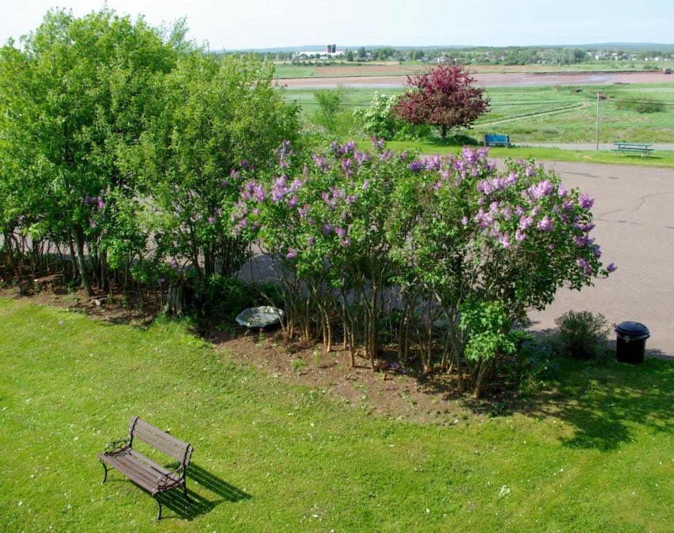 Tidal Bore Inn Труро Экстерьер фото